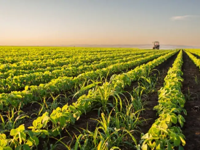 Agriculture