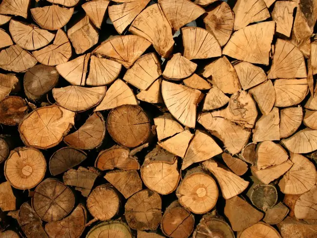 Forestry-Timber