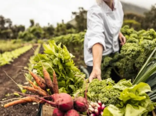 Agricultural-Use