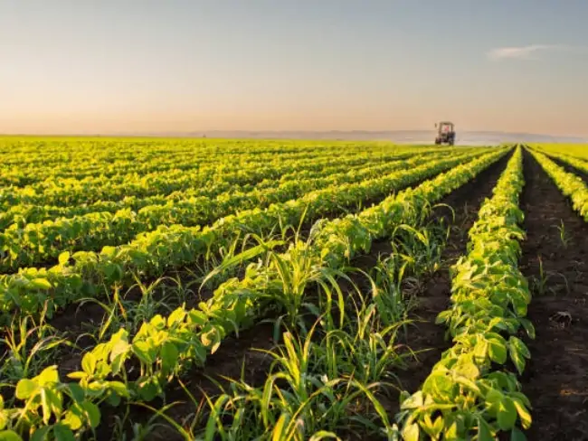 Agriculture-Farming