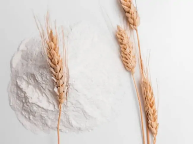 Food-Industry