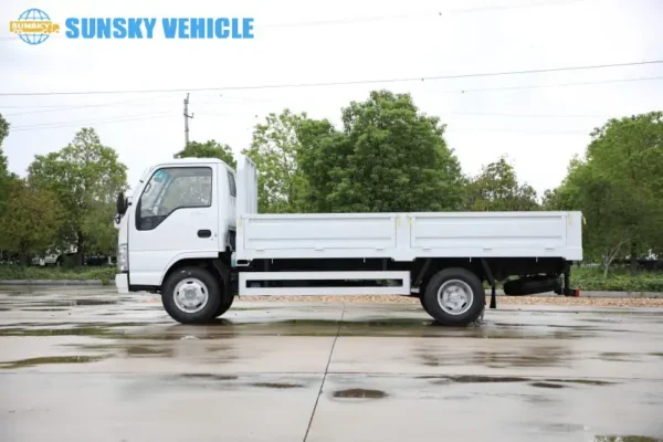 ISUZU 100P Cargo truck