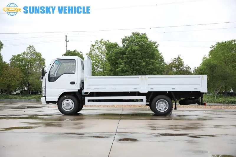 ISUZU 100P Cargo truck