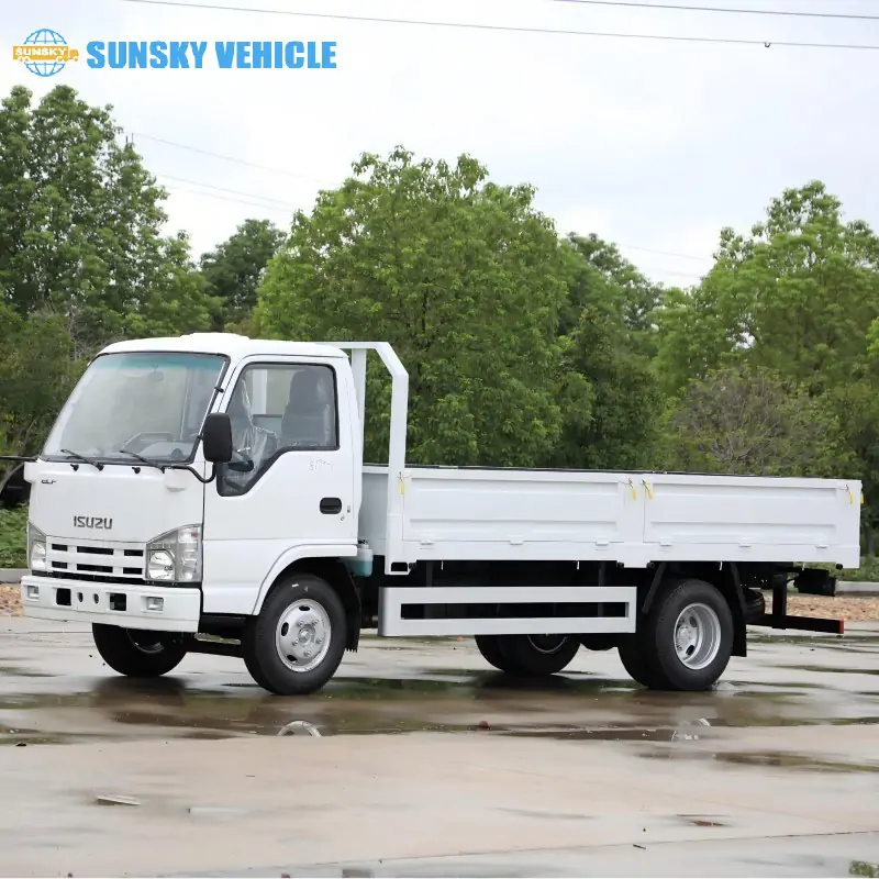 ISUZU 100P Cargo truck